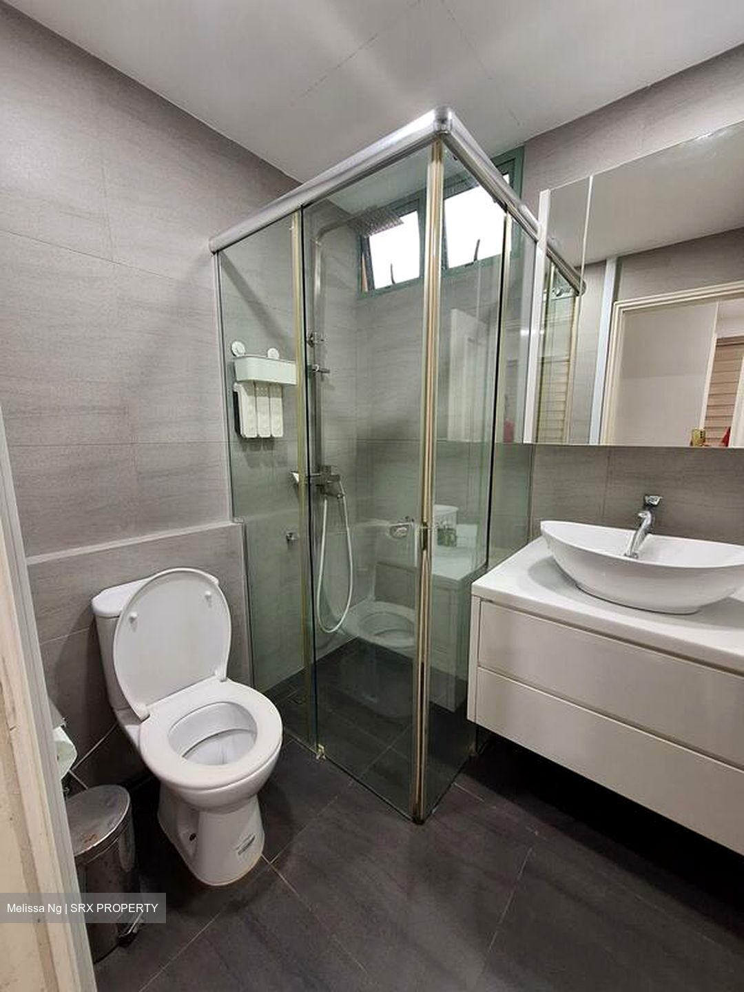 Hillview Park (D23), Condominium #496697681